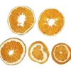 Appelsiiniviipale