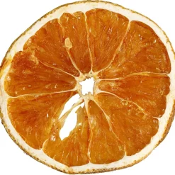 Appelsiiniviipale