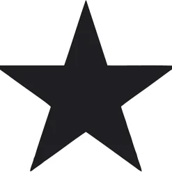 Fiskars Vipulävistäjä