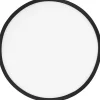 Frisbee