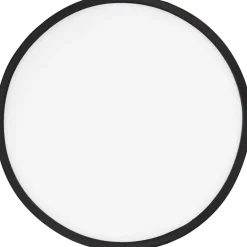 Frisbee