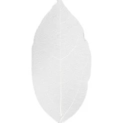 Kuivatut lehdet