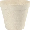 Kukkaruukku