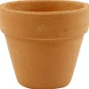 Kukkaruukku