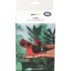 Lara the ladybug