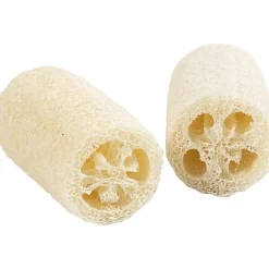Luonnollinen luffasieni