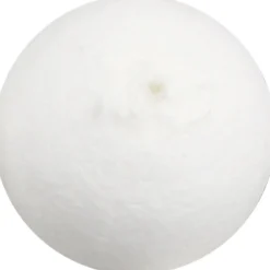 Massapallot