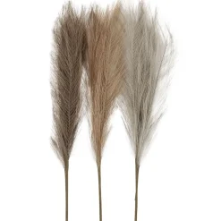 Pampas ruoho