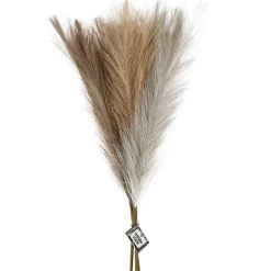 Pampas ruoho