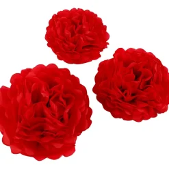 Pompomit