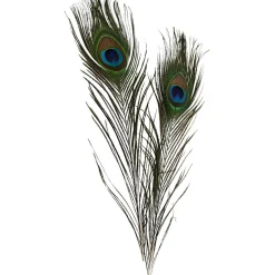 Riikinkukonsulat