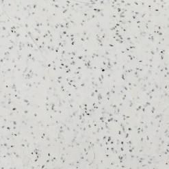 Stone Clay